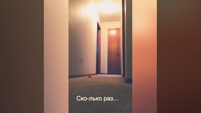Попугай зовет наташу!???? смотреть онлайн