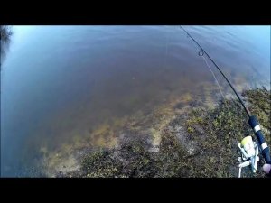 Положение силиконовой приманки в стоячей воде