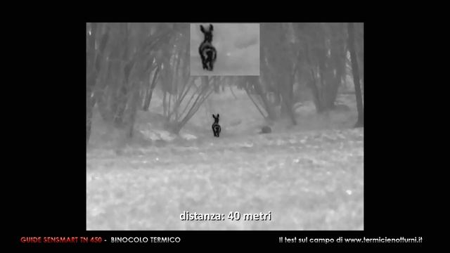 Test sul campo binocolo termico Guide Sensmart TN 450 смотреть онлайн