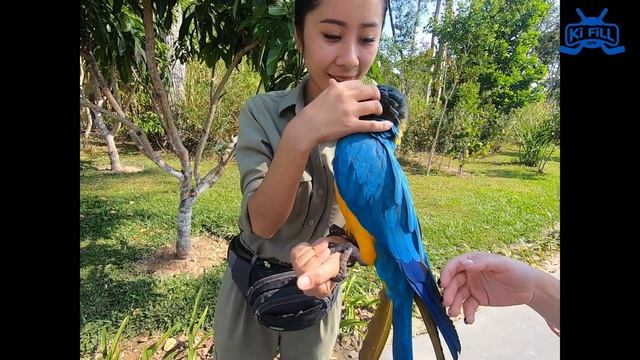 зоопарк ВИНПЕРЛ  VINPEARL SAFARI о.Фукуок ВЬЕТНАМ часть1 // KiFill Boys