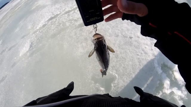 рыбалка в Онежском вода в лунки смотреть онлайн