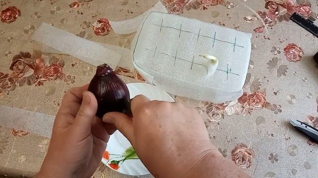 Супер выгонка зеленого лука на окне в пеленке из подложки, без гнили и дурного запаха. смотреть онлайн