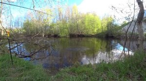 ЭТО ЛЕЩОВАЯ ЯМА! РЫБАЛКА НА ПОПЛАВОК. ЛОВЛЯ ЛЕЩА на поплавочную удочку. Рыбалка 2023