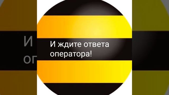 Дозвониться до оператора beeline в Казахстане! смотреть онлайн