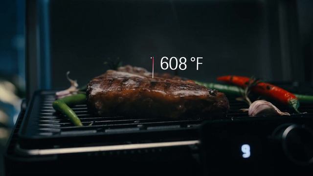 WMF Profi Plus Urban Master Grill (EN) смотреть онлайн