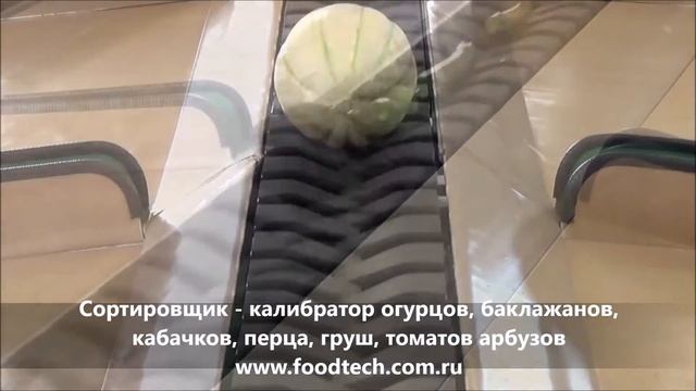 УНИВЕРСАЛЬНЫЙ Сортировщик калибратор огурцов, баклажанов, кабачков, перца, груш, томатов, арбузов смотреть онлайн