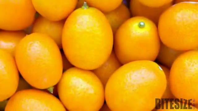 Kumquat