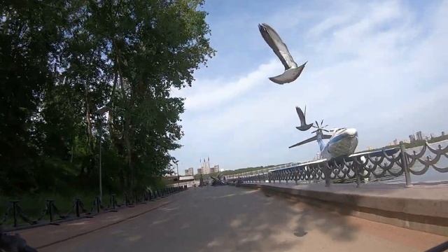 17.06.2020 Северный Речной вокзал | парк | cудоходный шлюз | Москва | Moscow | Russia... смотреть онлайн