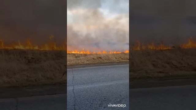 Пожар в Ильинке смотреть онлайн