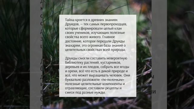 Магия Друидов — что это? смотреть онлайн