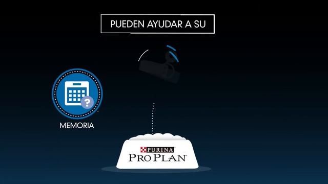 PURINA PROPLAN - Nutre su mente смотреть онлайн