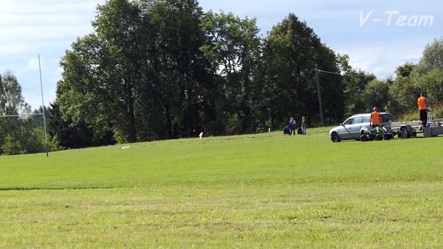 Pharaoh Hound Ramzes. Twin Cup 2017, Latvia. смотреть онлайн