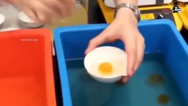 Factory में कैसे बनते है प्लास्टिक के नकली अंडे | Fake Eggs Manufacturing Process In Factory смотреть онлайн