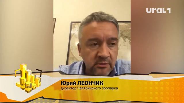 Челябинский зоопарк может стать центром притяжения для туристов смотреть онлайн