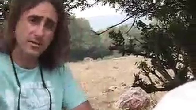 ירון קמינסקי (צלם) - ראיתי חיות עצובות (Yaron Kaminski) смотреть онлайн