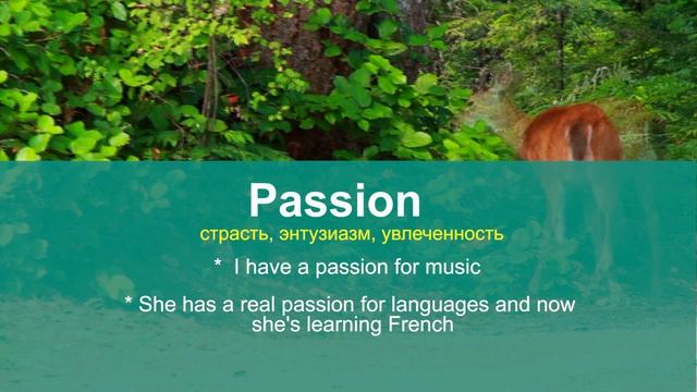 PASSION - учим английские слова и фразы, изучение английского онлайн смотреть онлайн