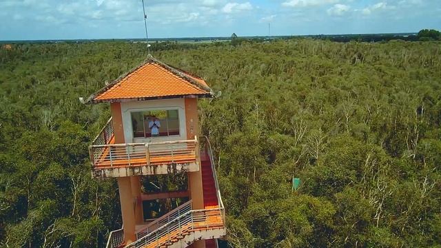GET LOST in Vietnam’s Melaleuca forest | Tan Lap Floating Village | Cinematic travel смотреть онлайн