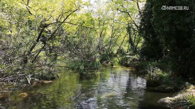 Знаки Зодиака – энергетические доноры смотреть онлайн