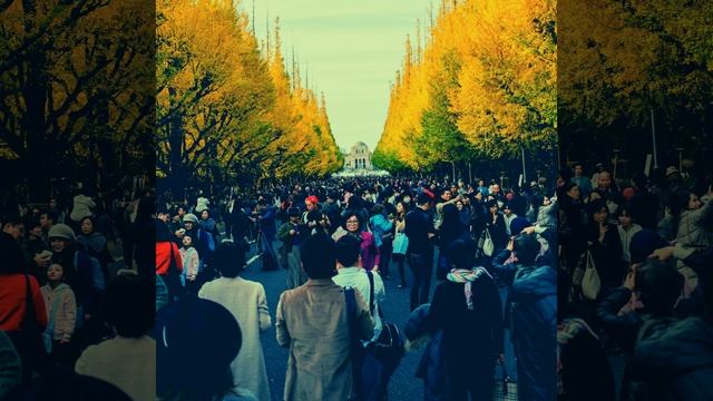 Groovy Backdrops for Tokyo Dreams смотреть онлайн