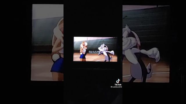lola bunny and bugs bunny. смотреть онлайн