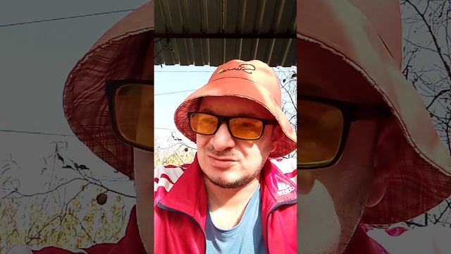#цирроз #болитпечень #сода #пьюсоду смотреть онлайн