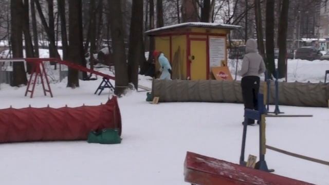 Соревнования по аджилити 27.01.13 г., СПб, Пионерская v13 смотреть онлайн