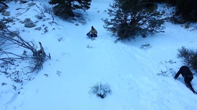 Snowday1/7 смотреть онлайн