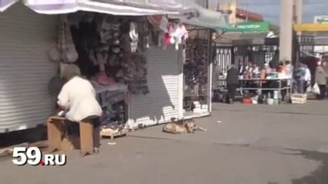 Центральный рынок Перми «перенесли» в Интернет смотреть онлайн