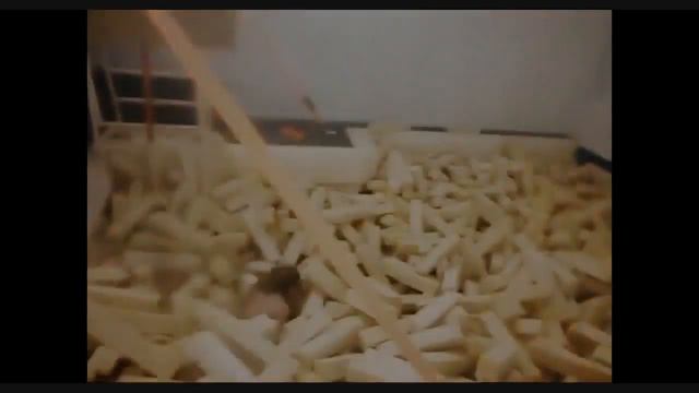 C Днём Рождения Вера))) смотреть онлайн