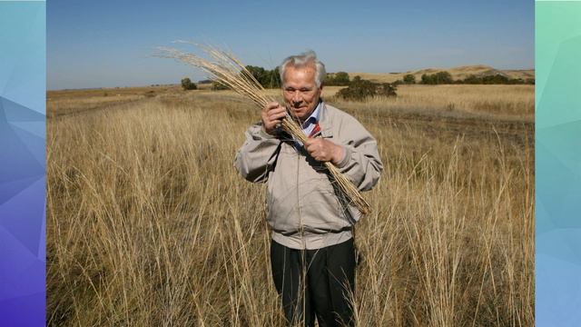 Курьинский район Алтайского края смотреть онлайн