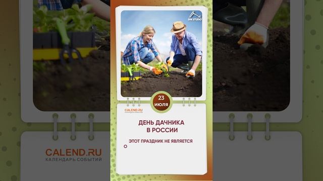 День дачника России смотреть онлайн
