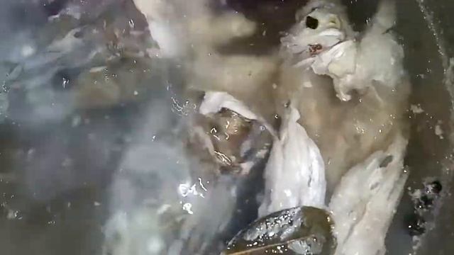 Отменная уха!? За 30 минут? смотреть онлайн