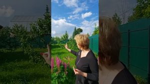 Можно ли строить сарай вплотную к забору соседа? Ответ здесь!