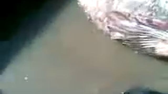 сом река амударья. Узбекистан харезм смотреть онлайн