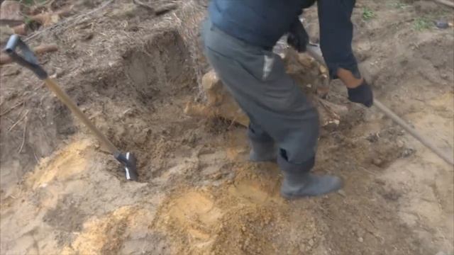 Как выкорчевать пень за 1 час в 80 лет без трактора смотреть онлайн