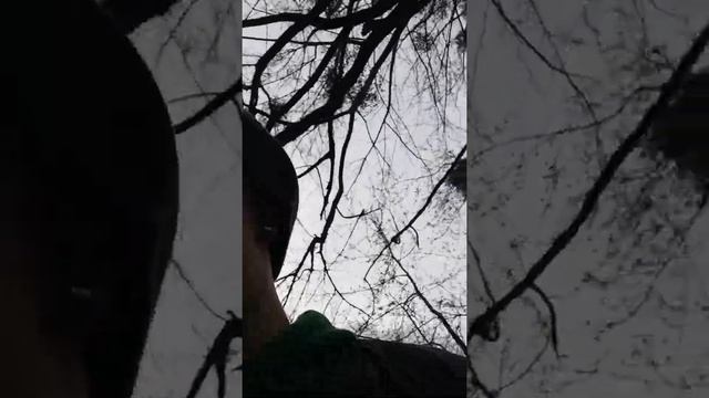 РЫНОК ВАРШАВА? смотреть онлайн