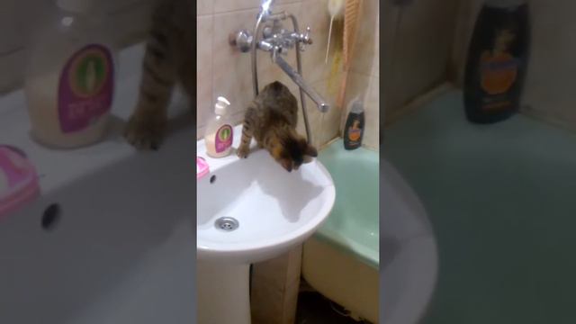 Странно куда это вода бежит смотреть онлайн