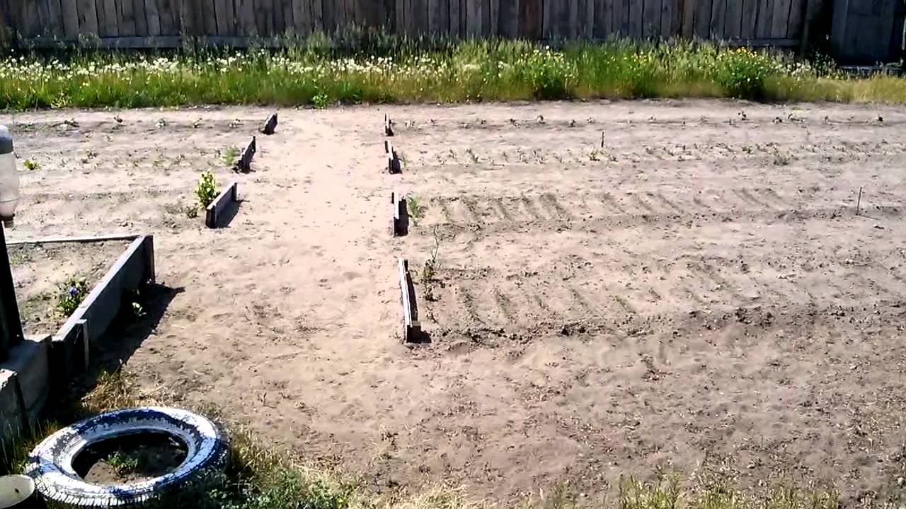 20150620 Усть-Балей, Иркутская обл.