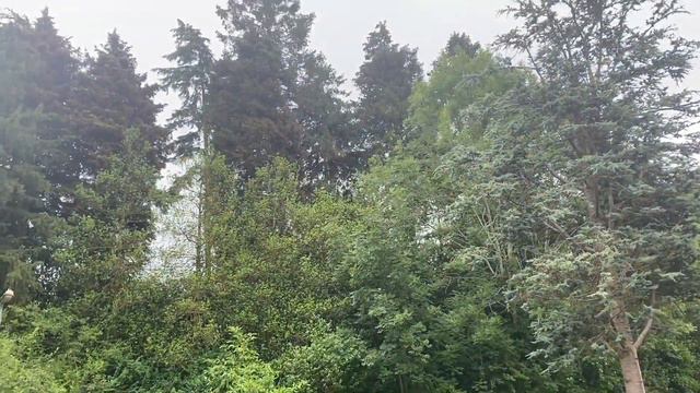 LENA HAPPY и СЕЛИМ ТУРЕЦКО-ГРУЗИНСКИЕ КАНИКУЛЫ АМЕРИКАНСКАЯ МЕЧТА/ ВИЗА #secretmaterials #ленахэппи смотреть онлайн