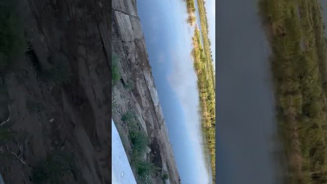 ПОЛЮЦИЯ ЭТО НЕ СРЫВ!!! ВОЗДЕРЖАНИЕ 100 дней! УЛУЧШЕНИЯ ЗРЕНИЯ! АГРЕССИВНОСТЬ! Ч.1 #воздержание #top