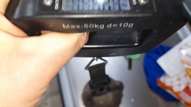 Тест китайских цифровых, подвесных весов до 50 кг с алиэкспресс смотреть онлайн