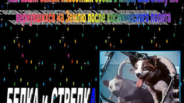 Космическая викторина смотреть онлайн