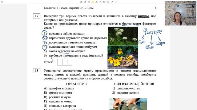 Разбор варианта из статграда. 2 Вариант. Подготовка к ЕГЭ смотреть онлайн