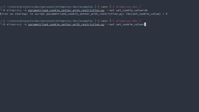 Ультимативный гайд по расширению mitmproxy смотреть онлайн