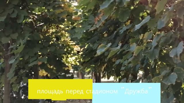 1 Провинциальный городок смотреть онлайн