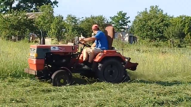 Сенокос Тракторами SHIFENG и DW 244 AT + Бердянская и Польская Косилки ! смотреть онлайн