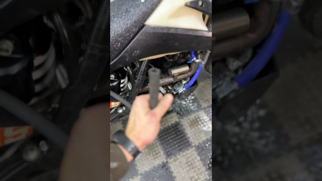 15 ноября 2023 г. смотреть онлайн