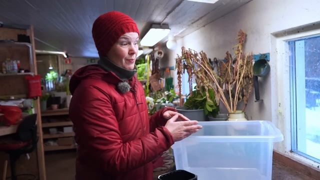 Så grönsaker i plastbackar смотреть онлайн