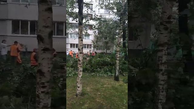 28 июня 2021 г. смотреть онлайн