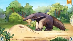 География Для Детей - Южная Америка с Тимом | познавательное видео для детей!